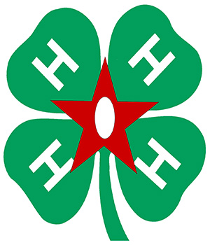4-H all star logo